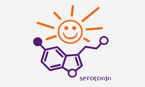 Serotonin hormon shadi96